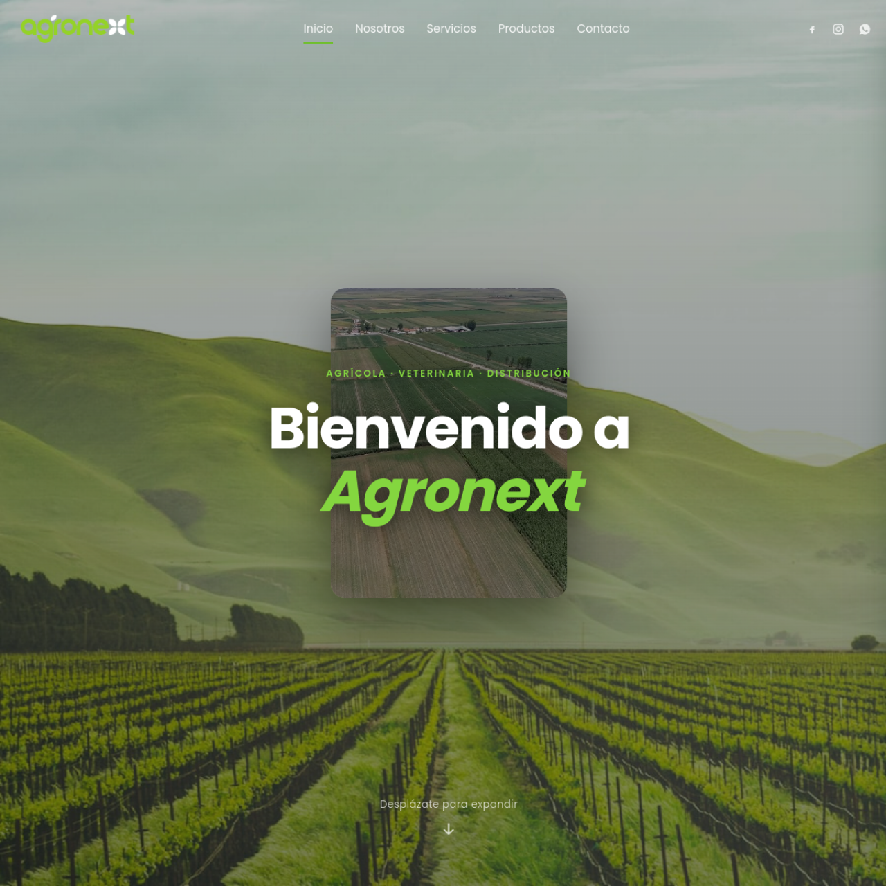 Sitio web de Agronext